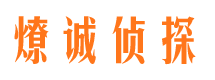 凤山市调查公司